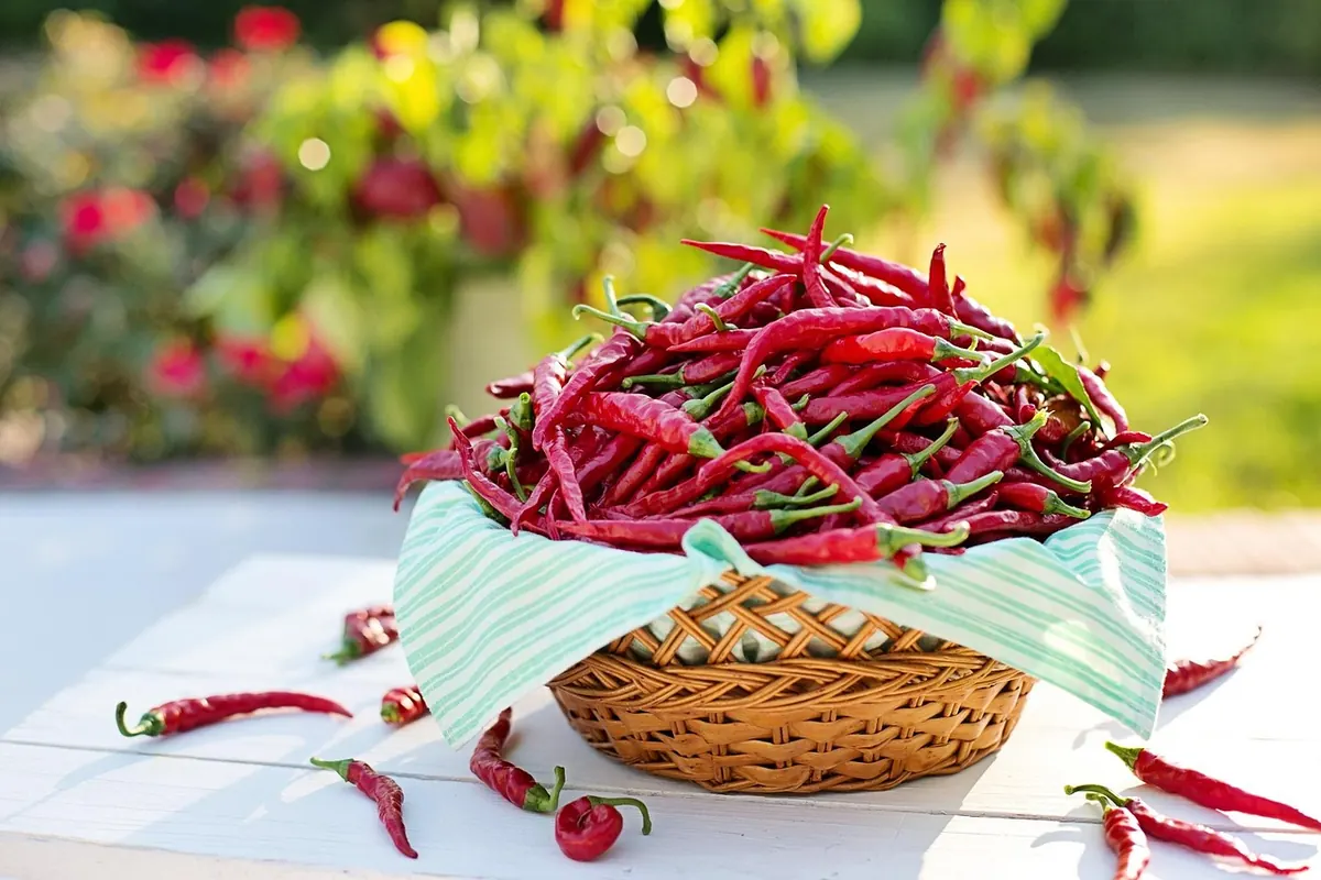 Seasonal Harvest Checklist for Market Gardeners